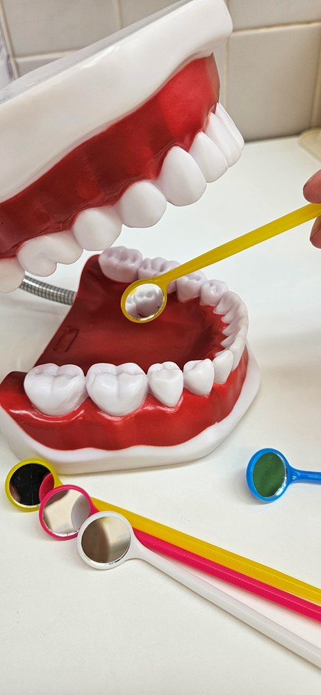 (Istarski domovi zdravlja)