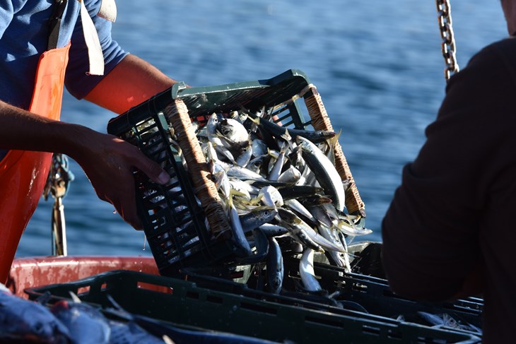 Ilustracija (Snimio Hrvoje Jelavić / Pixsell)