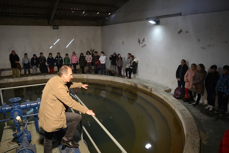 (Arhiva Glasa Istre)