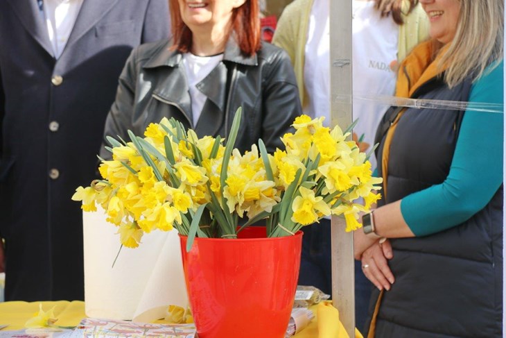 (Arhiva Glasa Istre)