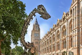 (Foto Natural History Museum)