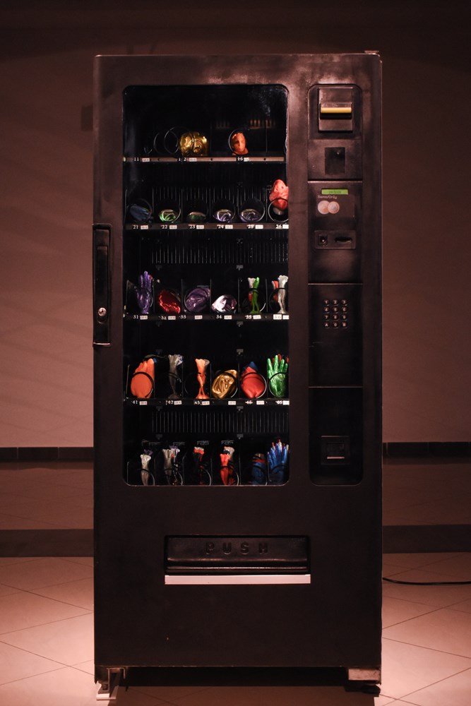 (Foto: Nastasja Miletić)