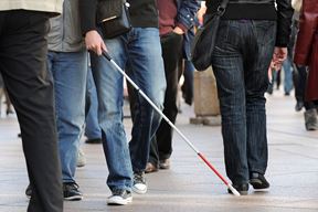 Ilustracija (Snimio Petar Fabijan)