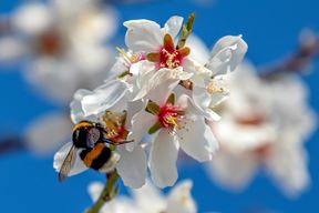 Ilustracija (Snimio Srecko Niketic / Pixsell)