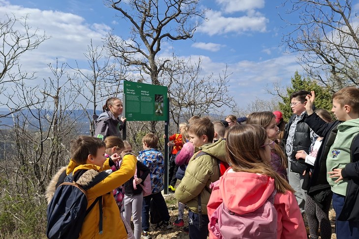 (Foto: Park prirode Učka)