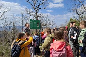 (Foto: Park prirode Učka)