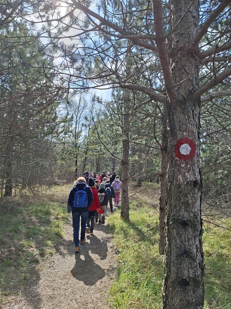 (Foto: Park prirode Učka)