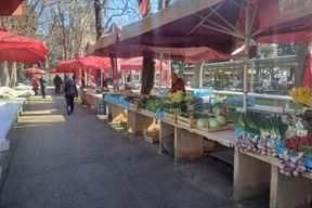 (Snimila Jelena Milović)