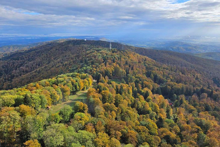 (Foto Hrvatske šume)