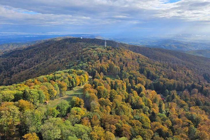 (Foto Hrvatske šume)