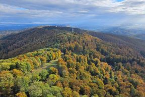 (Foto Hrvatske šume)