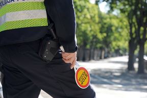 Ilustracija (Snimio Vedran Karuza)