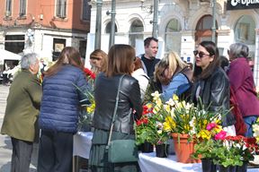 (Snimila Annamaria Vidović)