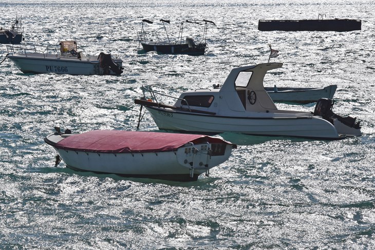 (Snimio Duško Marušić / Pixsell)