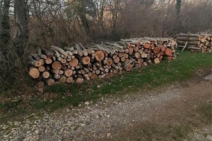 Ilustracija (PU istarska)