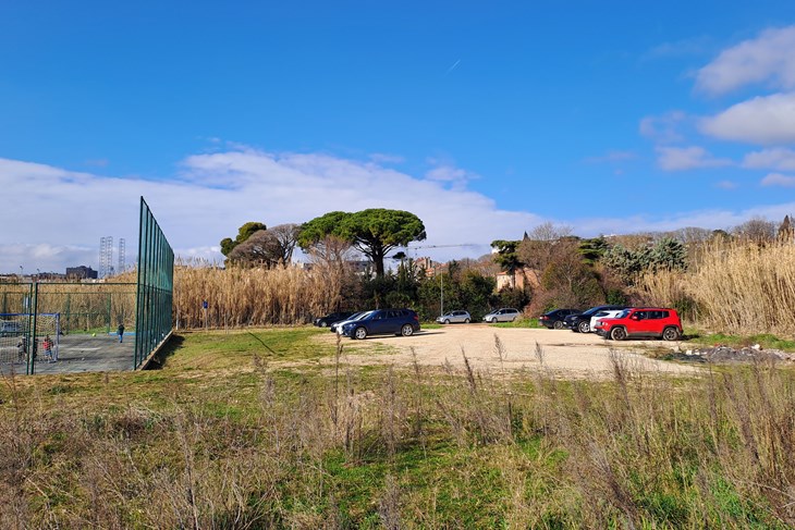 (Snimio Zoran Oljača)