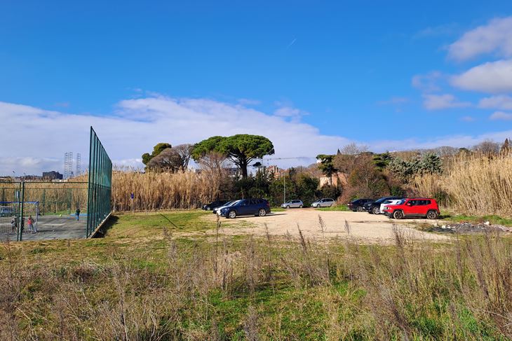 (Snimio Zoran Oljača)