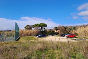 (Snimio Zoran Oljača)