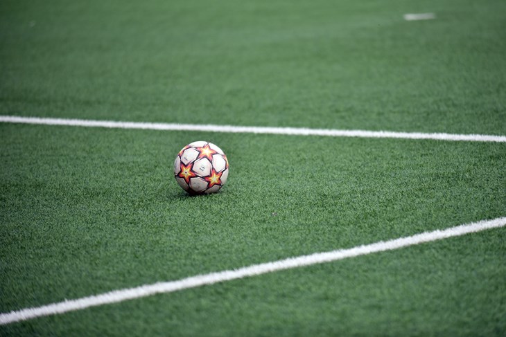 Ilustracija (Snimila Angela Maksimović)