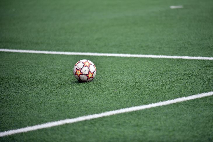 Ilustracija (Snimila Angela Maksimović)