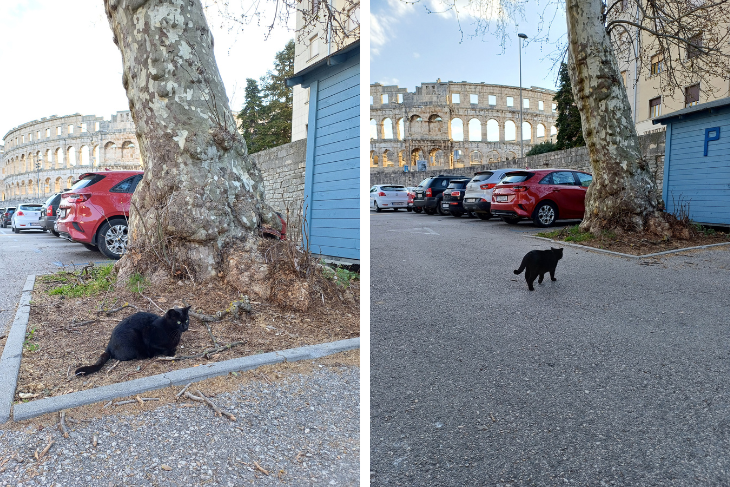 (Snimila čitateljica Glasa Istre)