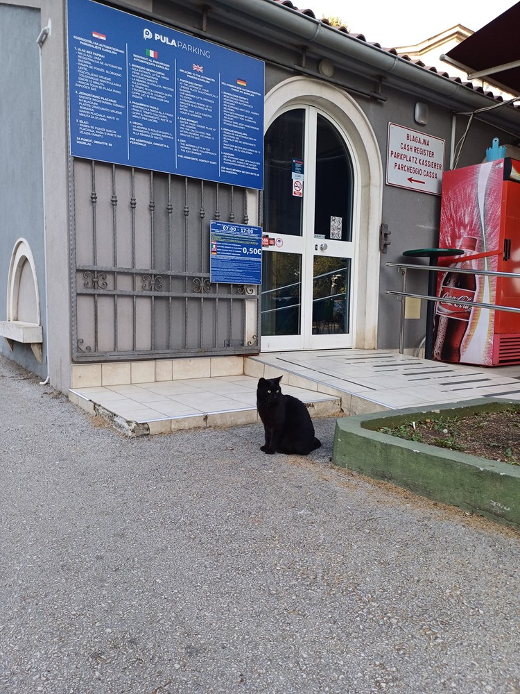 (Snimila čitateljica Glasa Istre)