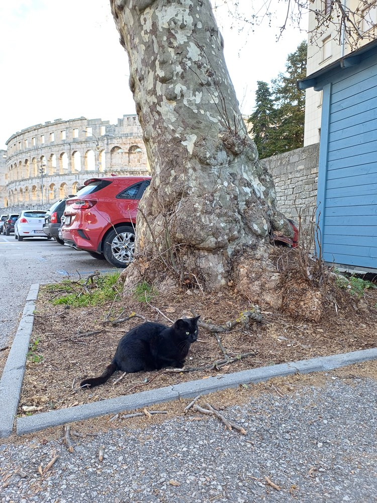 (Snimila čitateljica Glasa Istre)