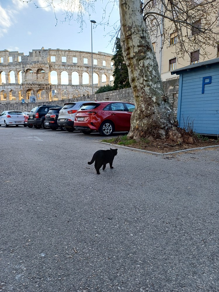 (Snimila čitateljica Glasa Istre)