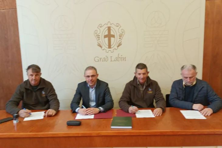 (Foto Grad Labin)