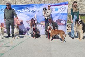 S predstavljanja izložbe (Snimila Sandra Zrinić Terlević)