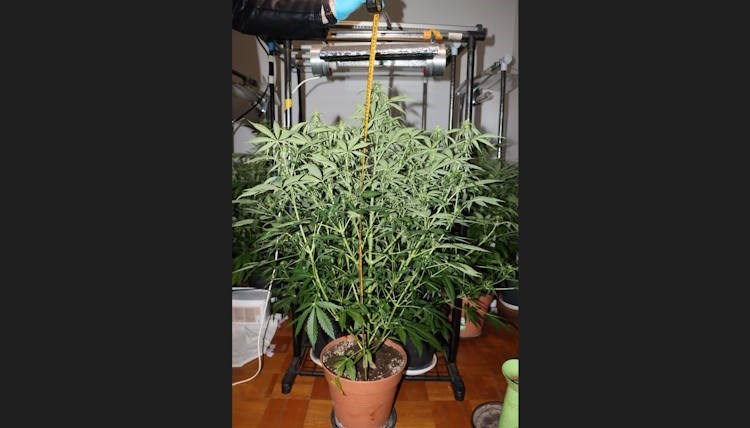 (Foto: PU zagrebačka)