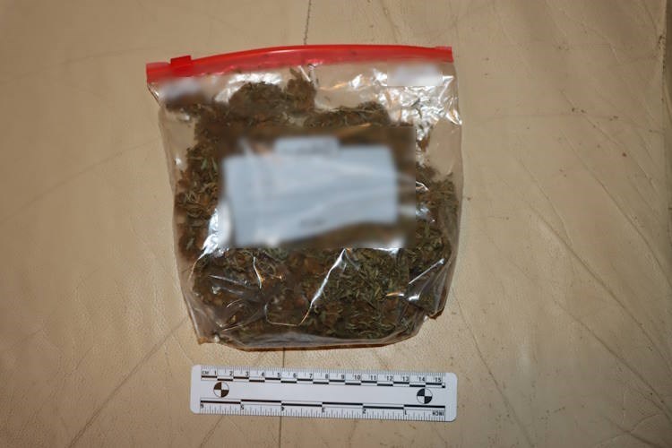 (Foto: PU zagrebačka)