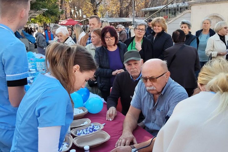 (Liga protiv raka Pula)