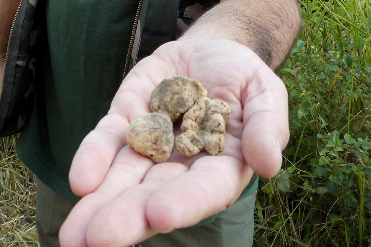 (Snimila Gordana Čalić Šverko)