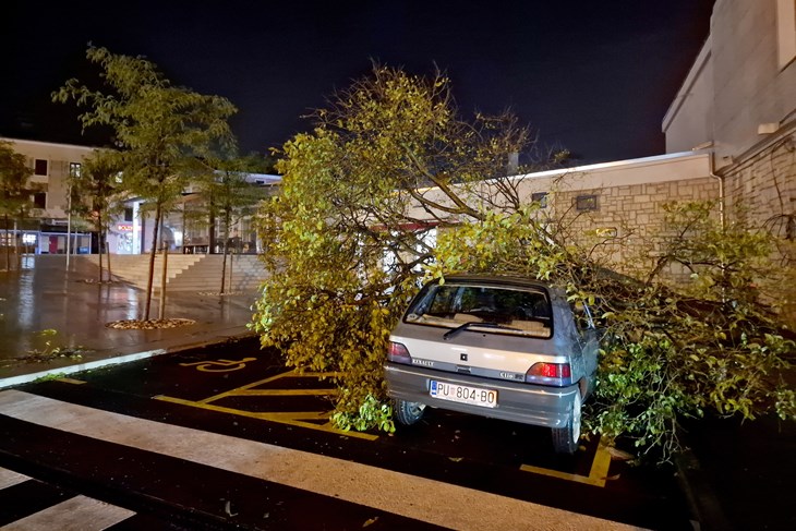 Ilustracija (Snimio Saša Miljevic/Pixsell)