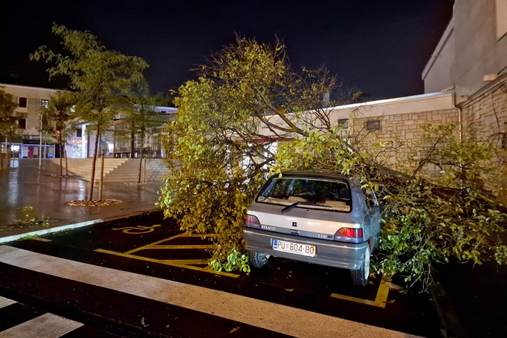 Ilustracija (Snimio Saša Miljevic/Pixsell)