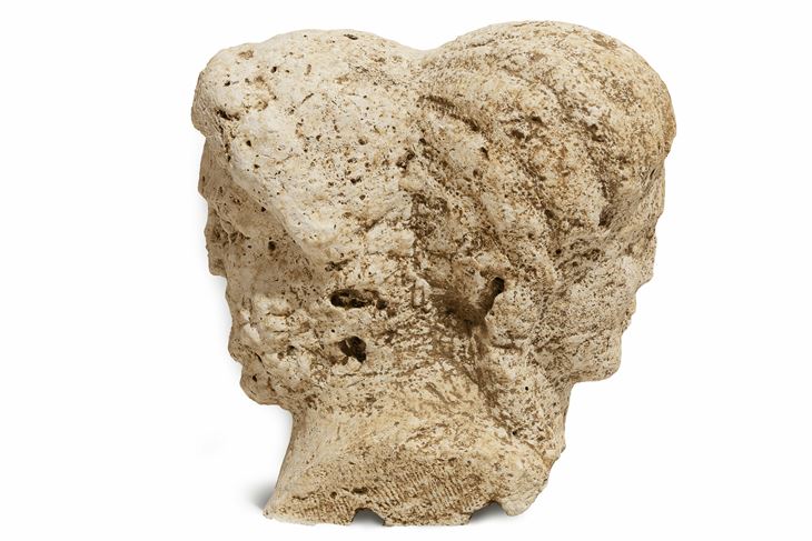 (Snimio Dalibor Talajić)