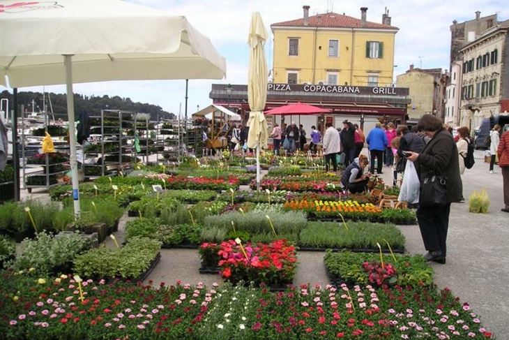 (Foto: TZG Rovinj)
