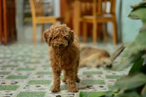 Ilustracija (Pexels)