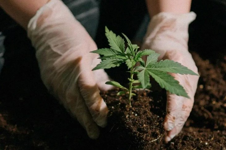 Ilustracija (Foto: X)