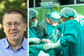 (Davor Kovačević, Pixabay)