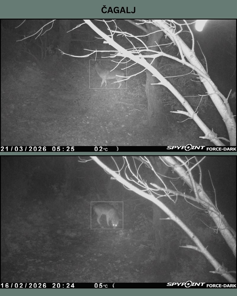 (Foto: Javna ustanova Kamenjak)