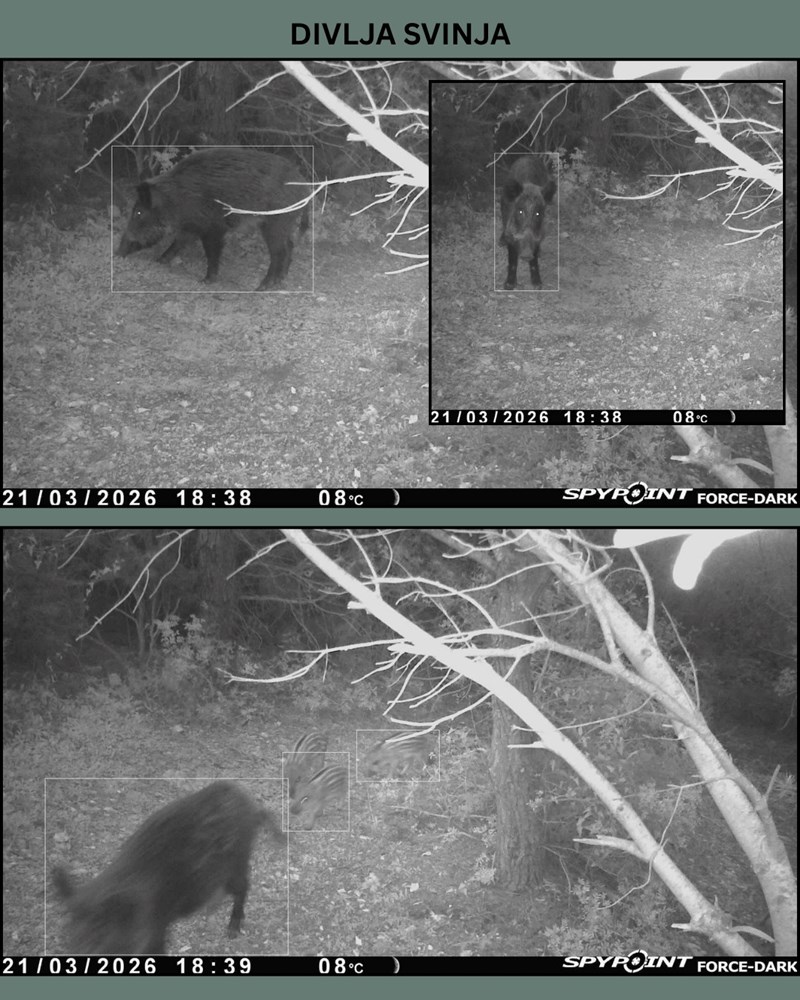 (Foto: Javna ustanova Kamenjak)