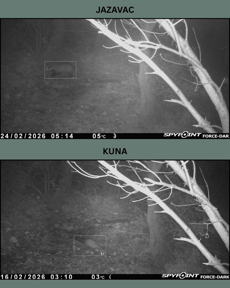 (Foto: Javna ustanova Kamenjak)