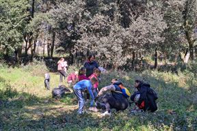 (Foto: Općina Vrsar)