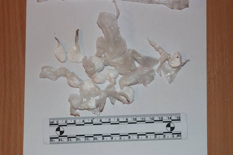 (Foto: PU zagrebačka)