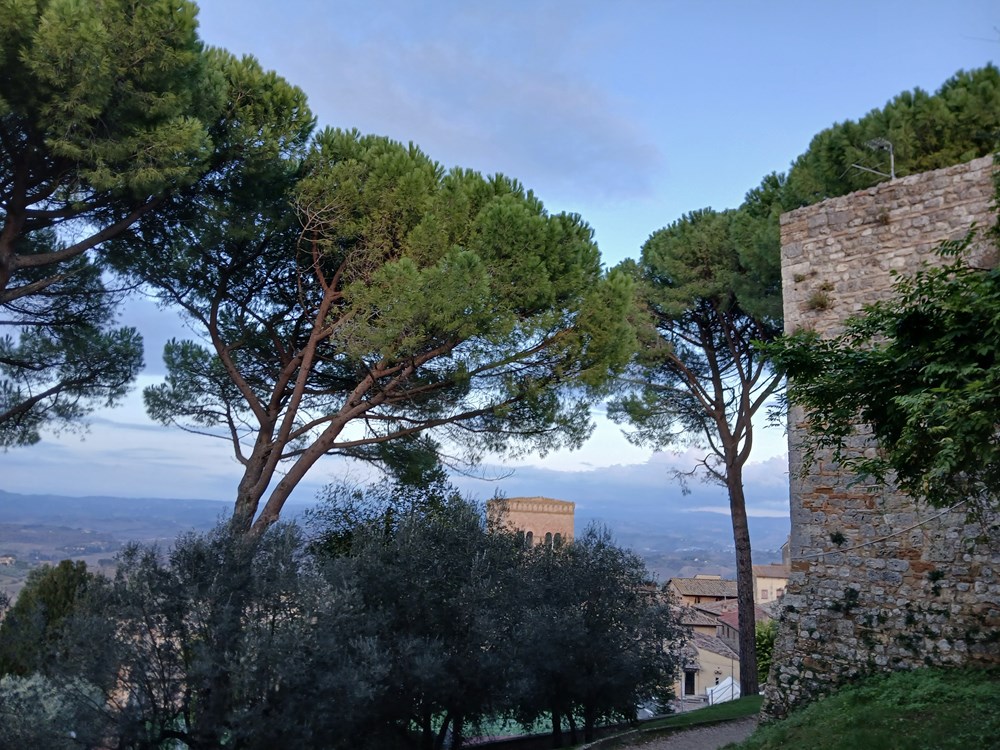 (Snimila Renata &Scaron;amo)