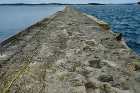 (Snimio Milivoj Mijošek)