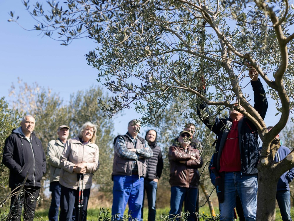 (Snimila Marijana Pletikos)