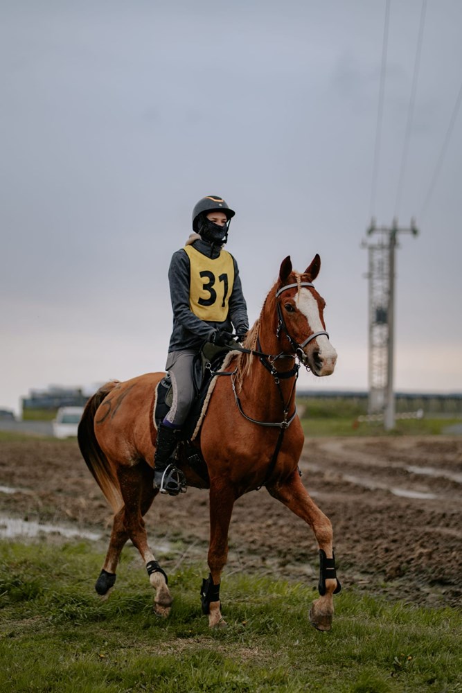 (Konjički klub Astra)